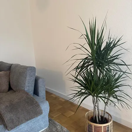 Apartmán Gesamte In