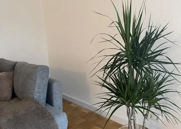 Appartement Gesamte In